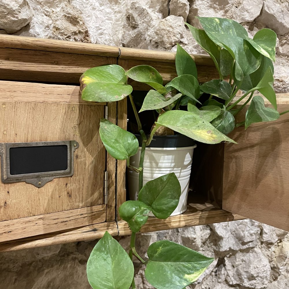 Boîte aux lettres – Image 4