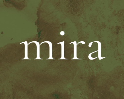 Galerie Mira – Stop trottoir